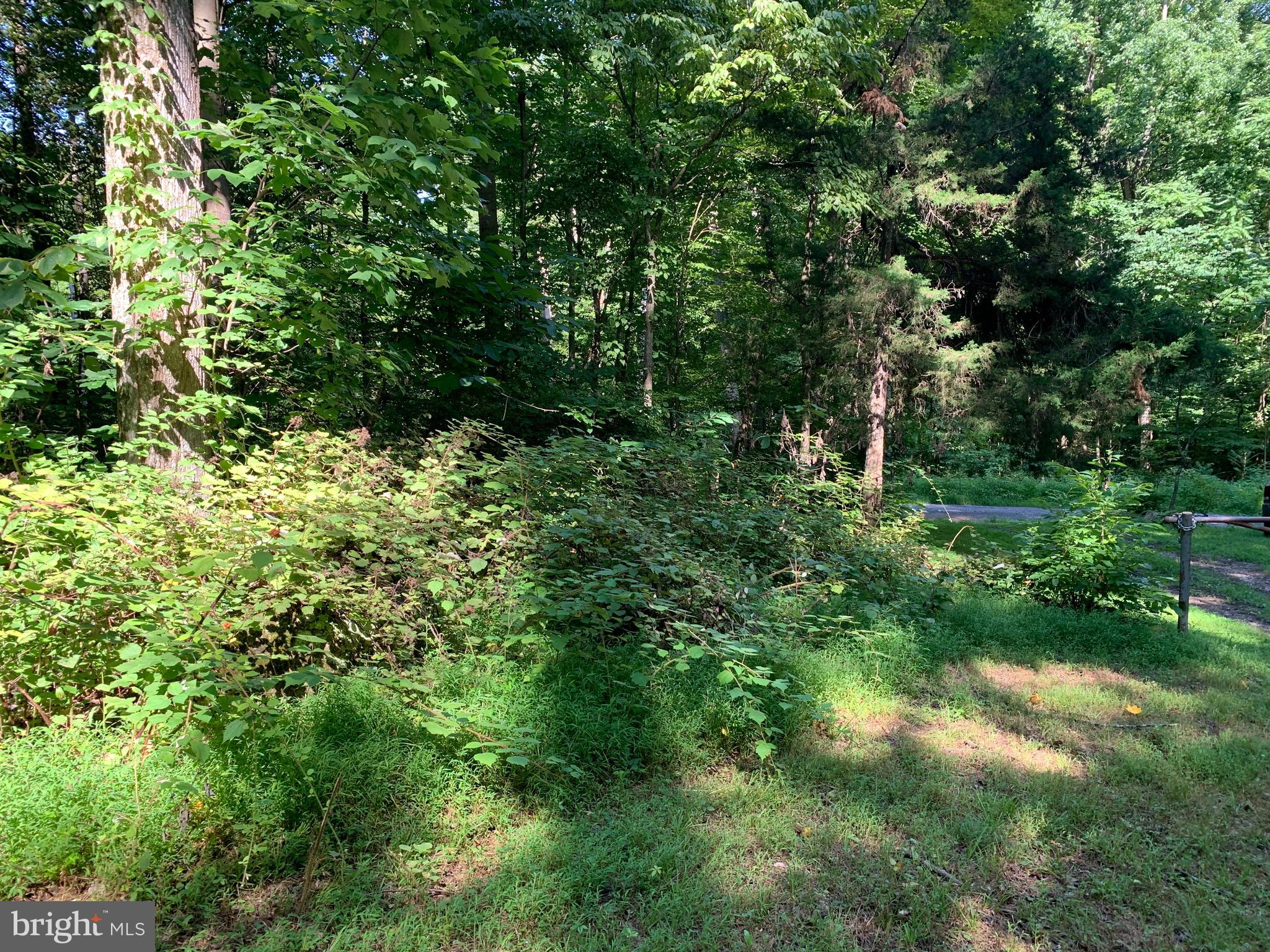 CACAPON RETREAT - Land