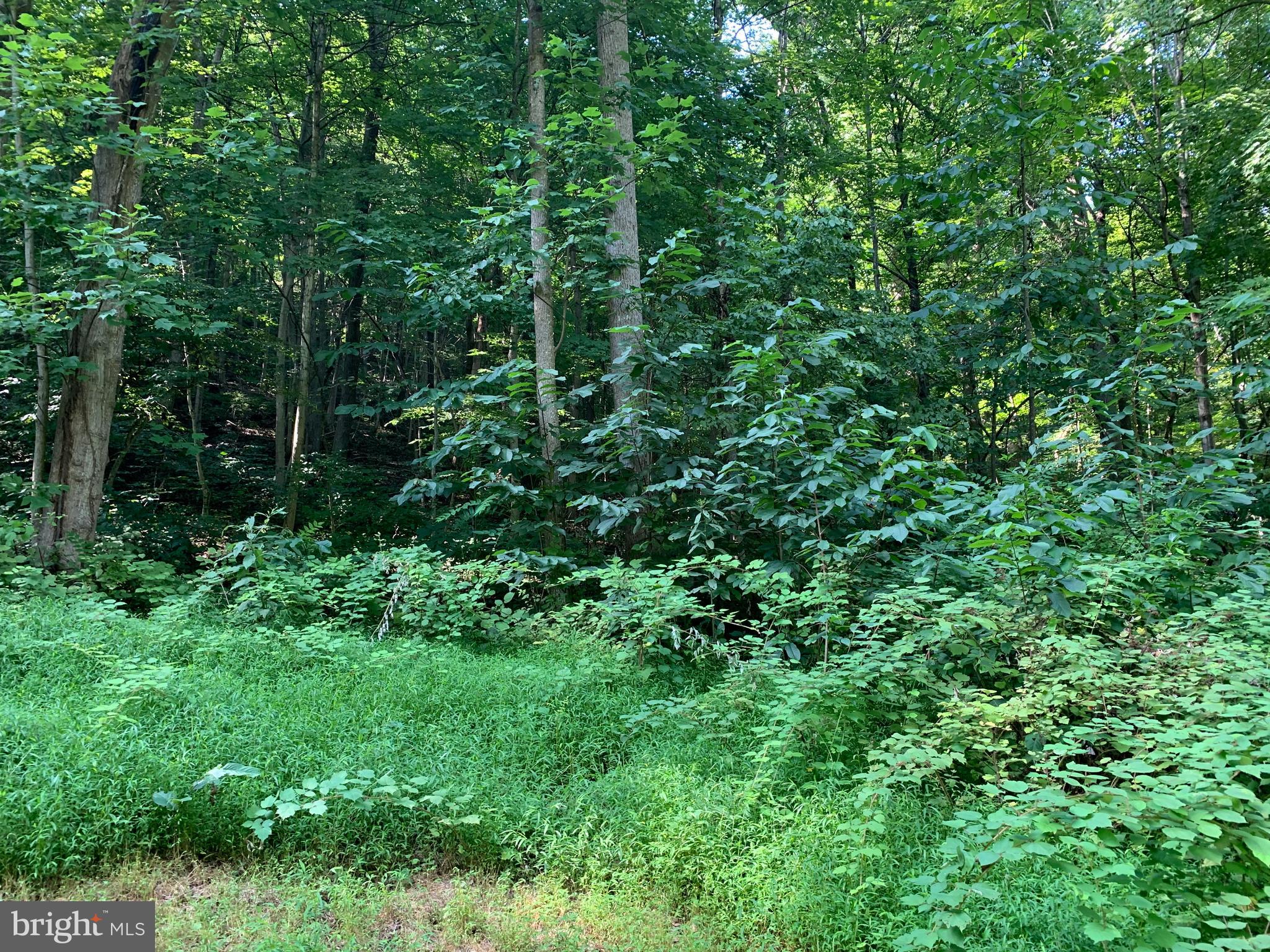 CACAPON RETREAT - Land