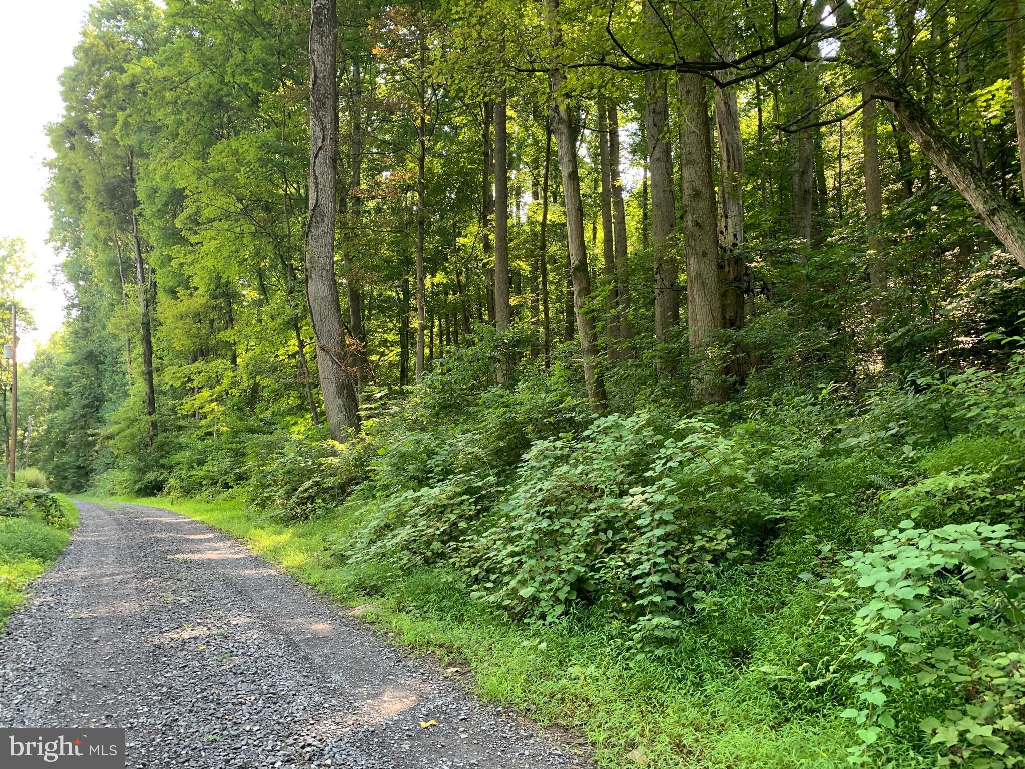 CACAPON RETREAT - Land