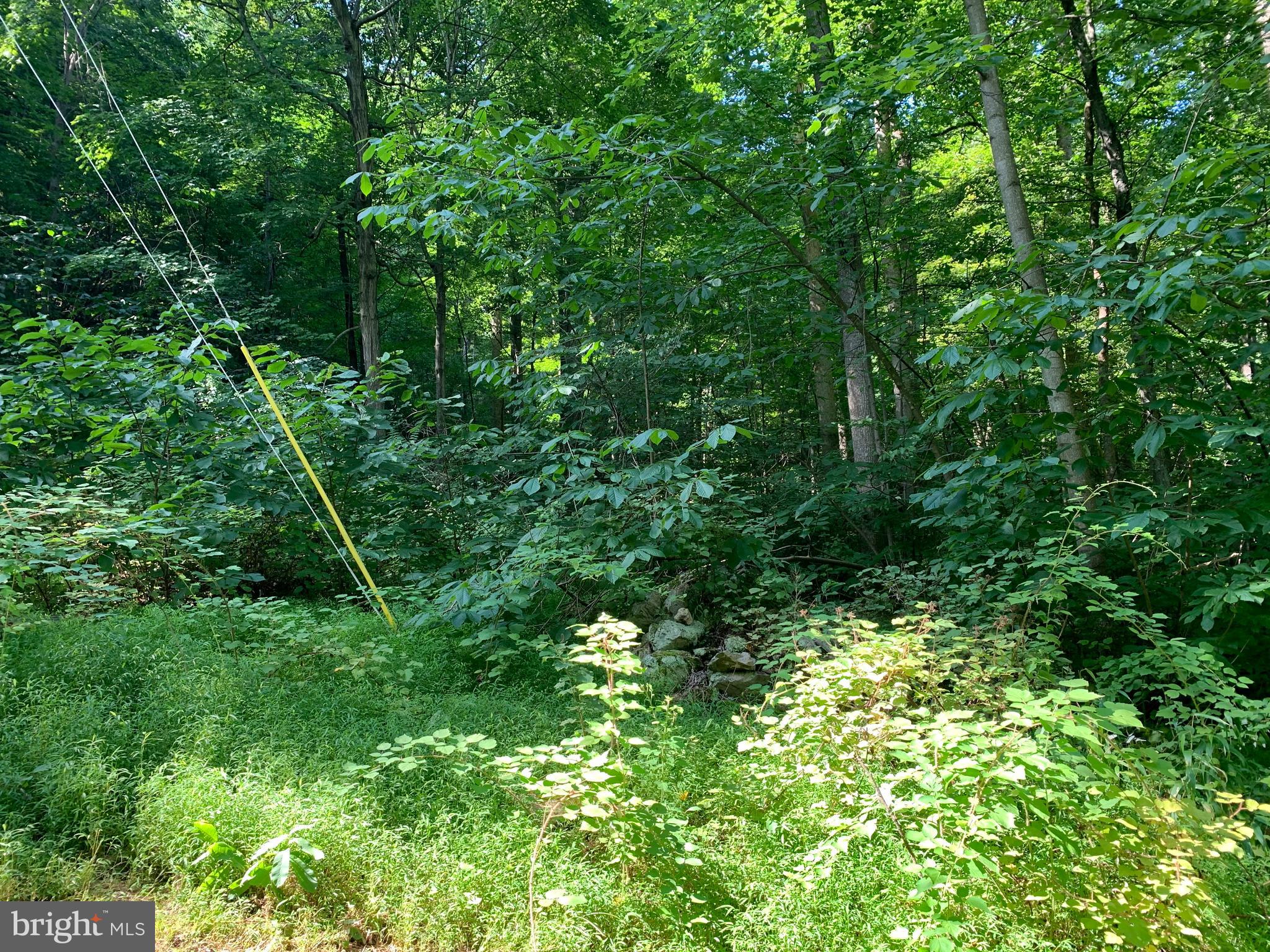 CACAPON RETREAT - Land