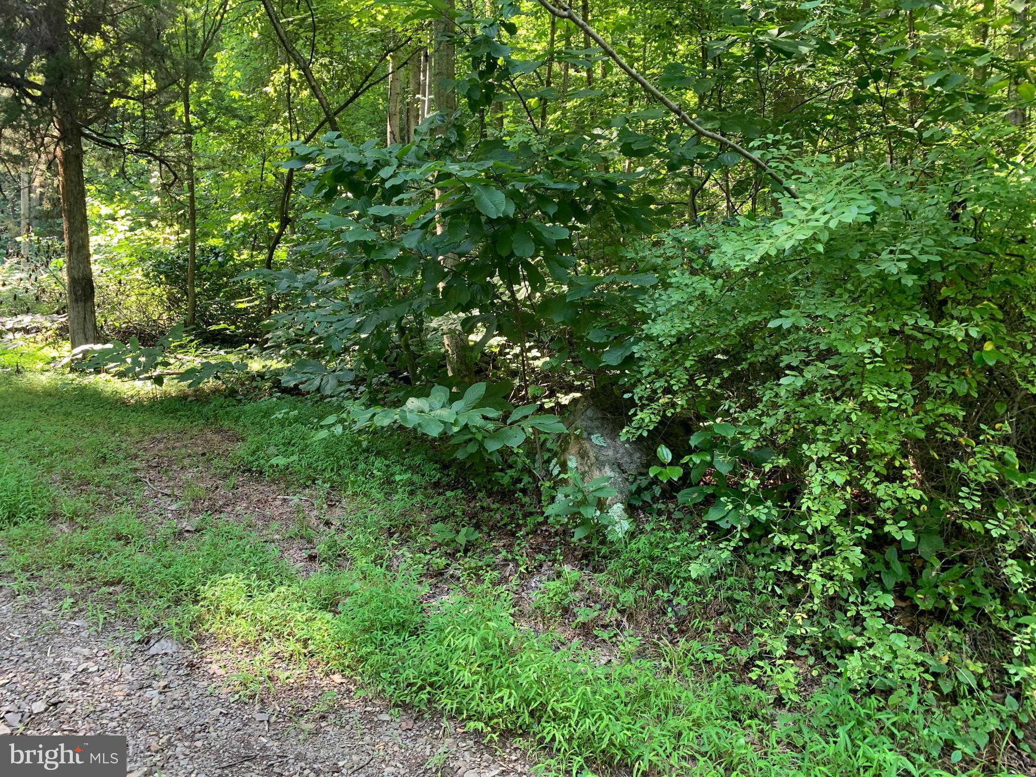 CACAPON RETREAT - Land