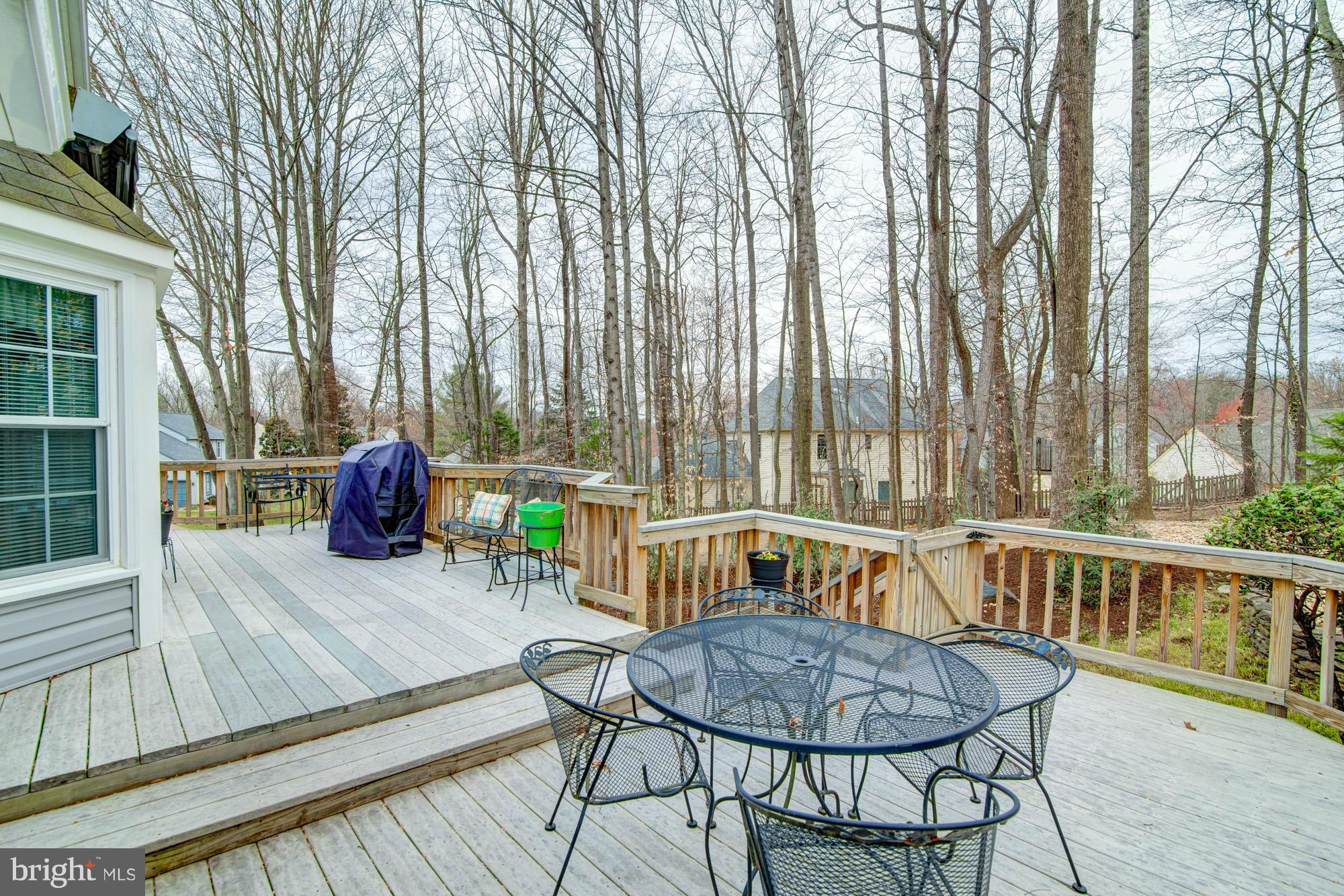 SOUTH RUN FOREST - Residential