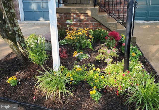 FOXBOROUGH - Residential Lease