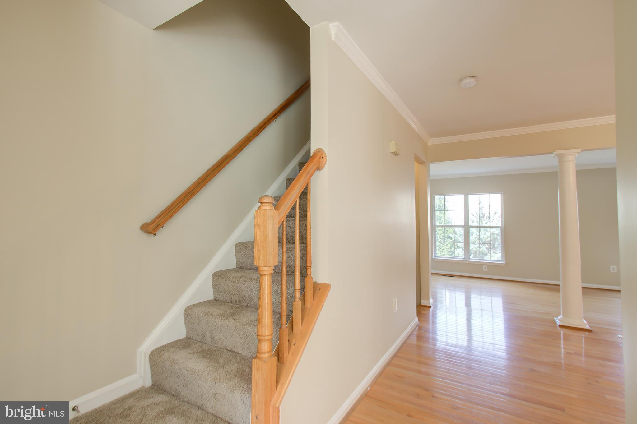 FOXBOROUGH - Residential Lease