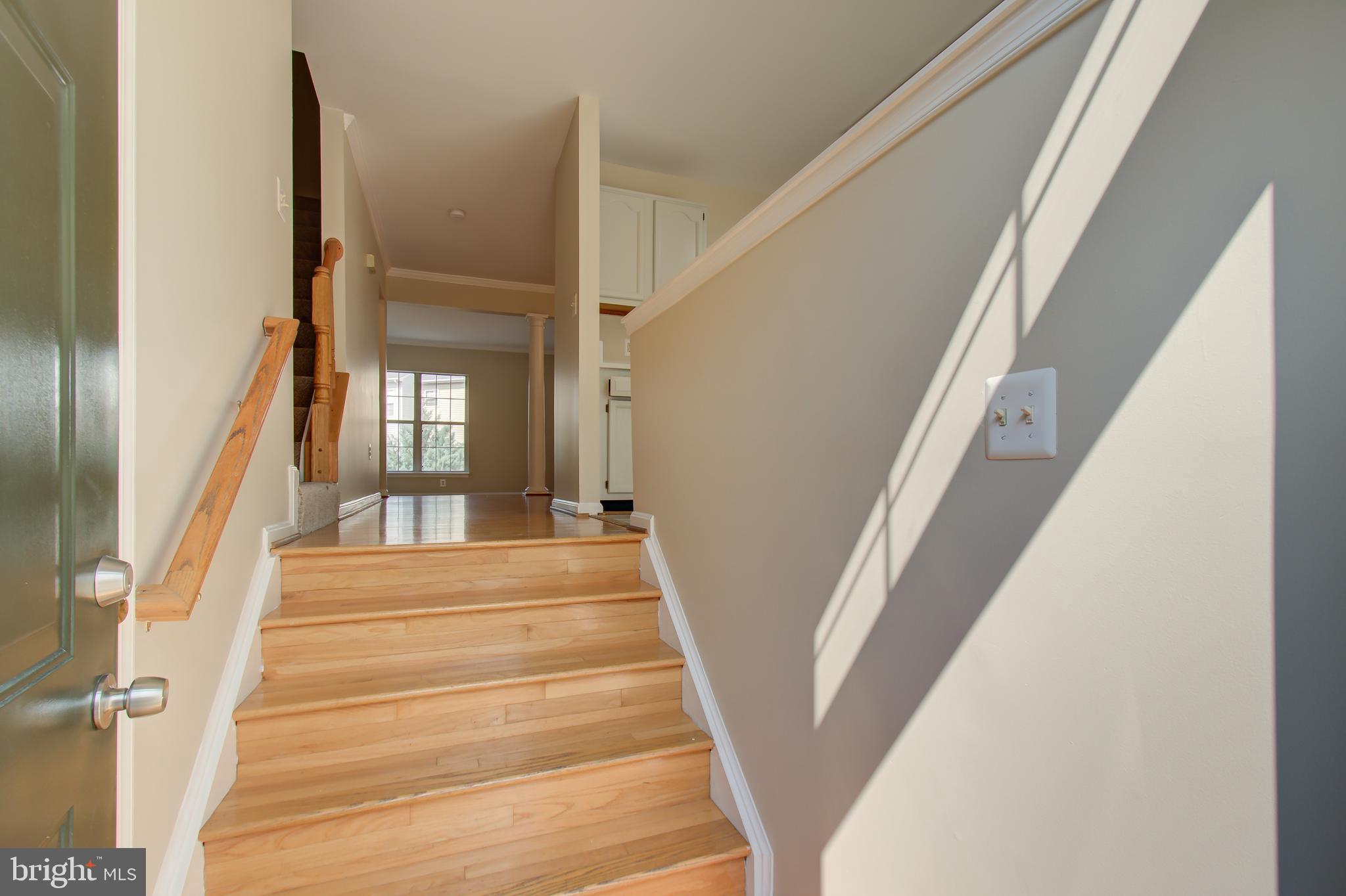 FOXBOROUGH - Residential Lease