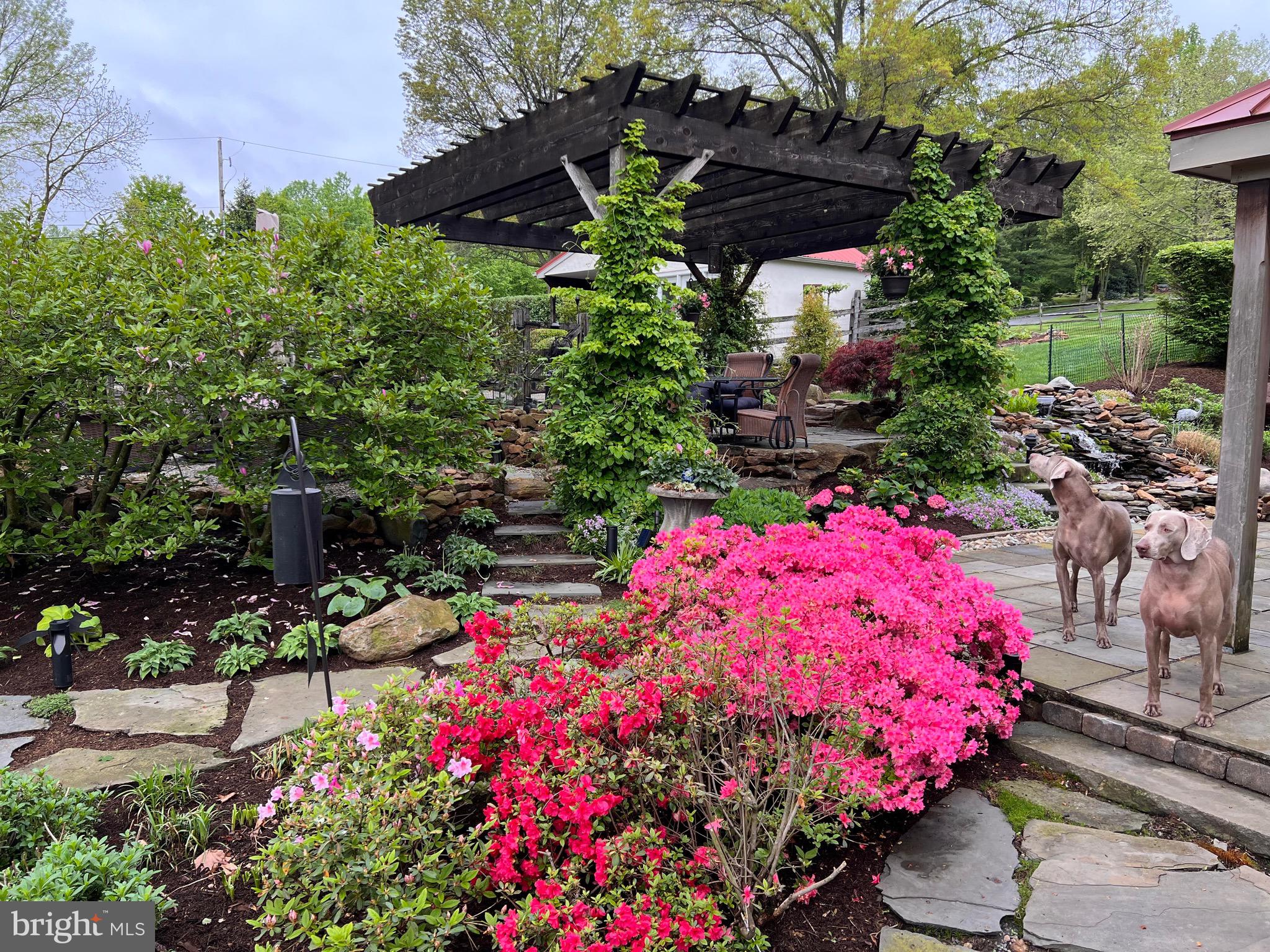 FOX POINTE - Residential