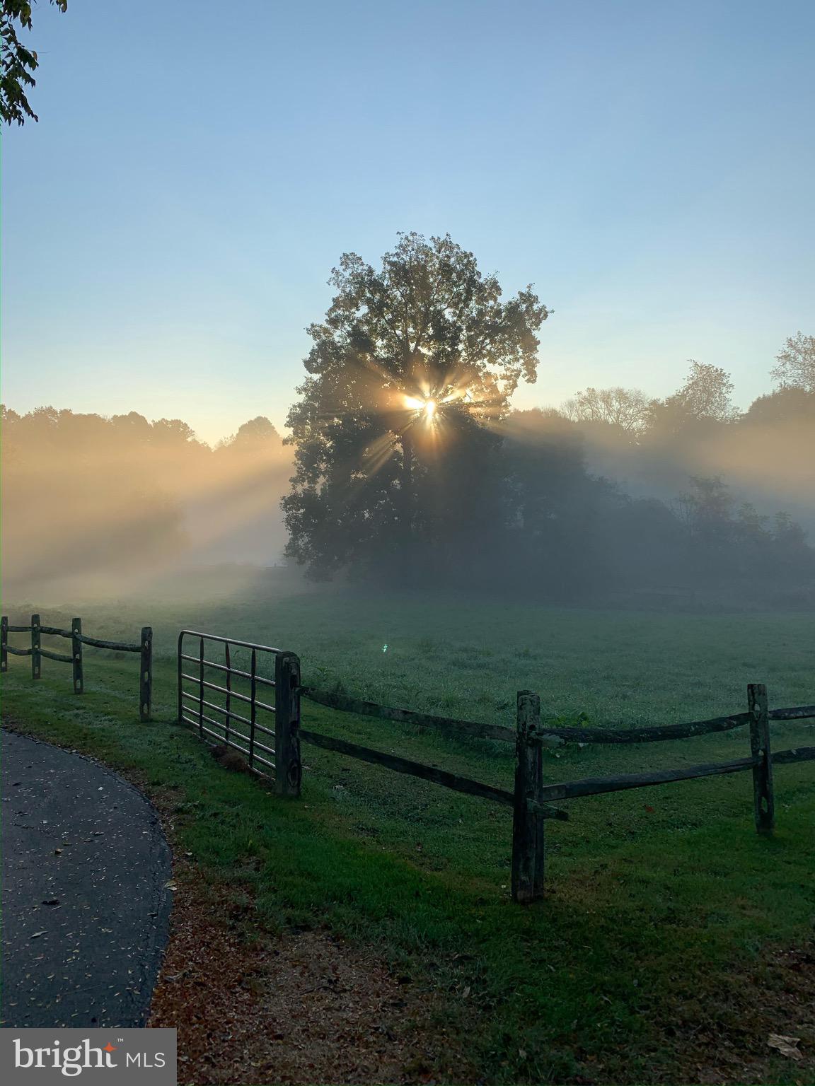 FOX POINTE - Residential