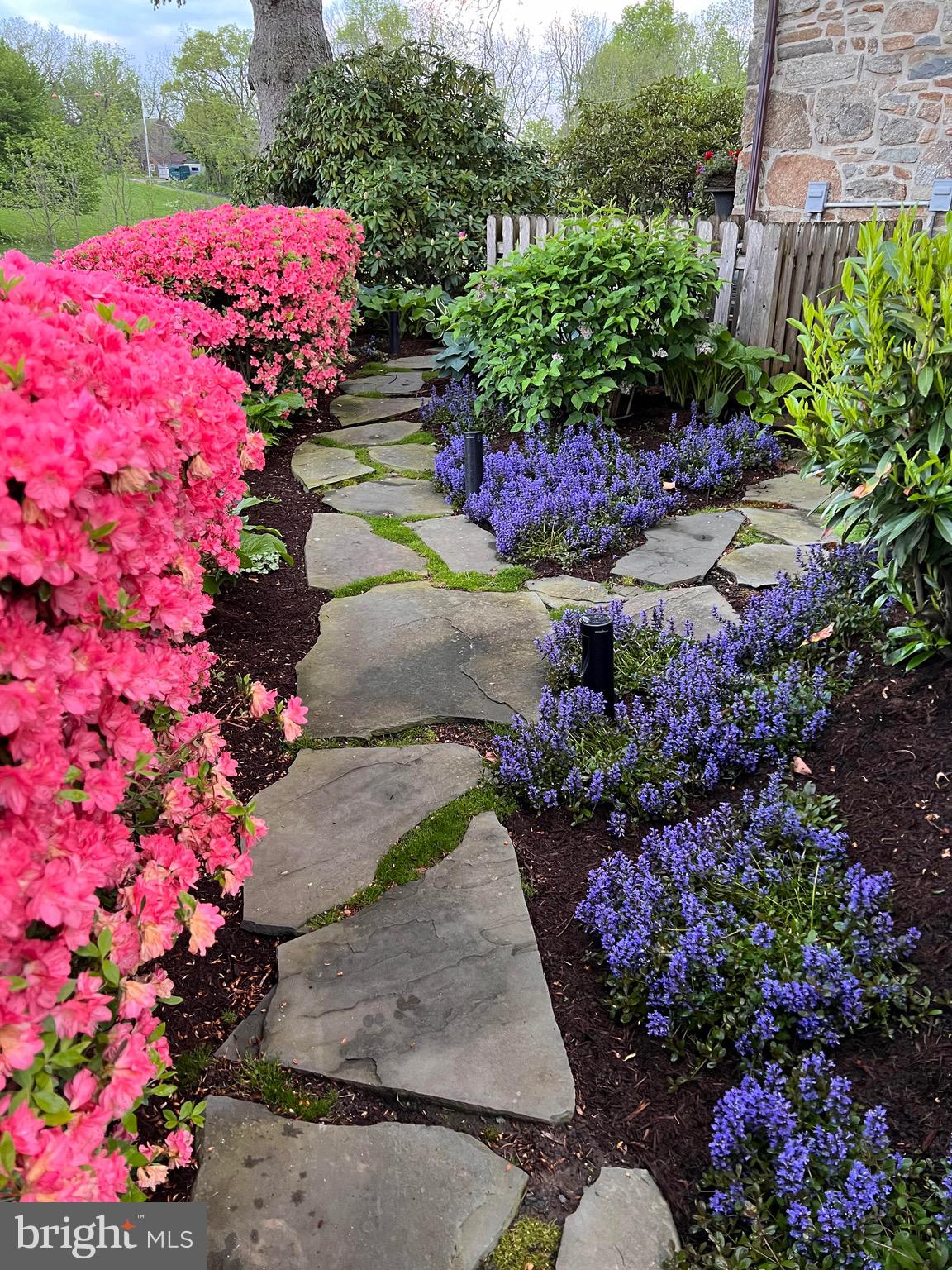 FOX POINTE - Residential