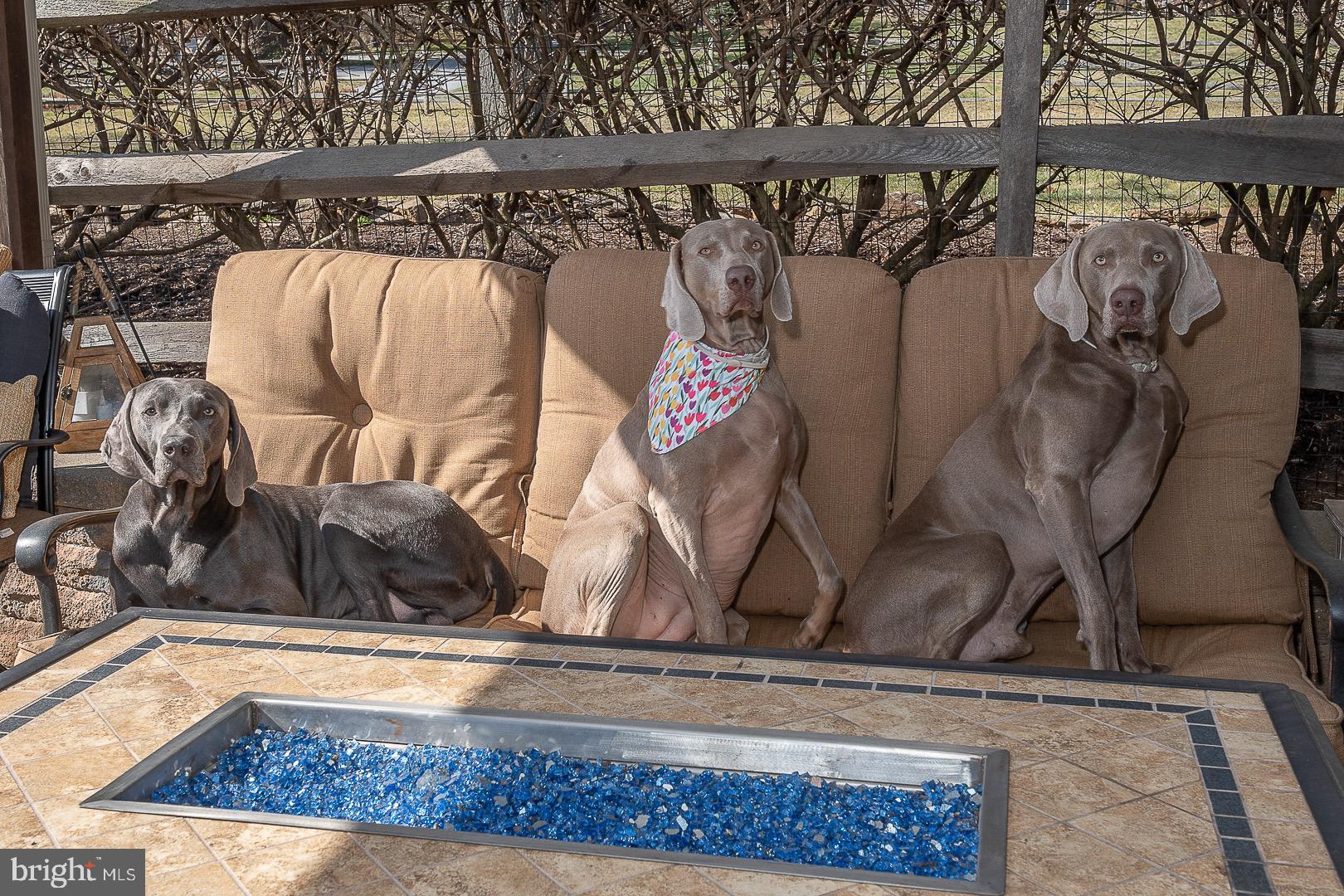 FOX POINTE - Residential