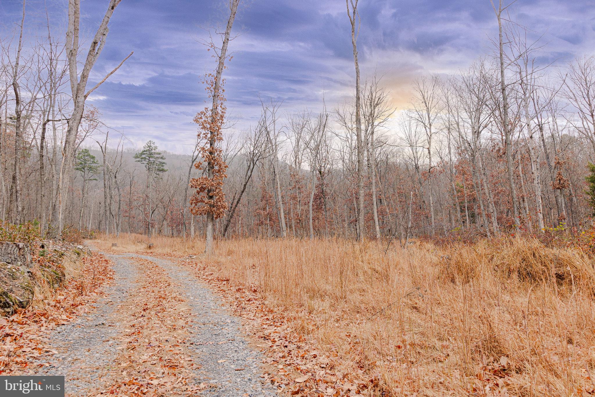 Lot 2 GALLOWAY SPRING LANE