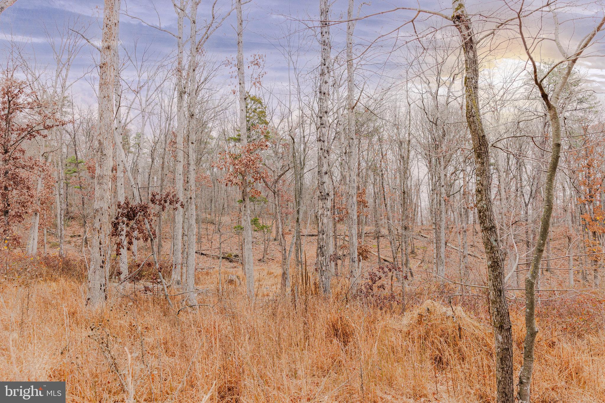 Lot 2 GALLOWAY SPRING LANE