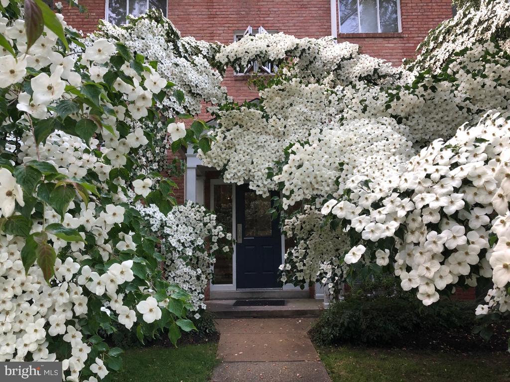 PARKSIDE CONDOMINIUMS - Residential Lease