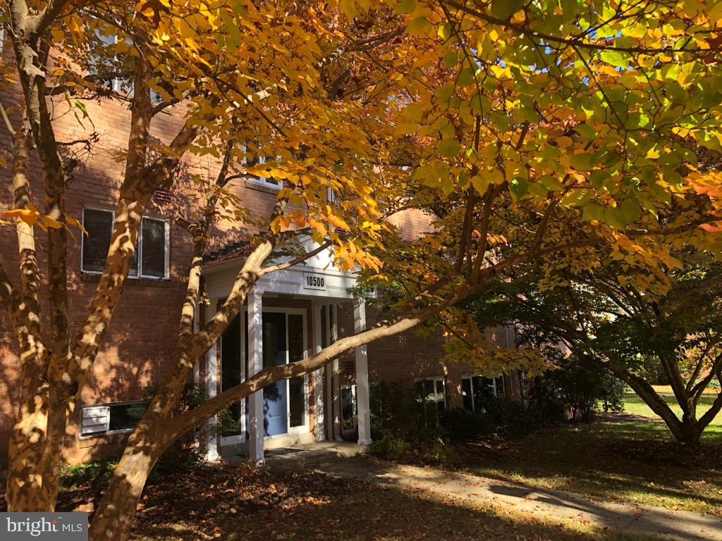 PARKSIDE CONDOMINIUMS - Residential Lease