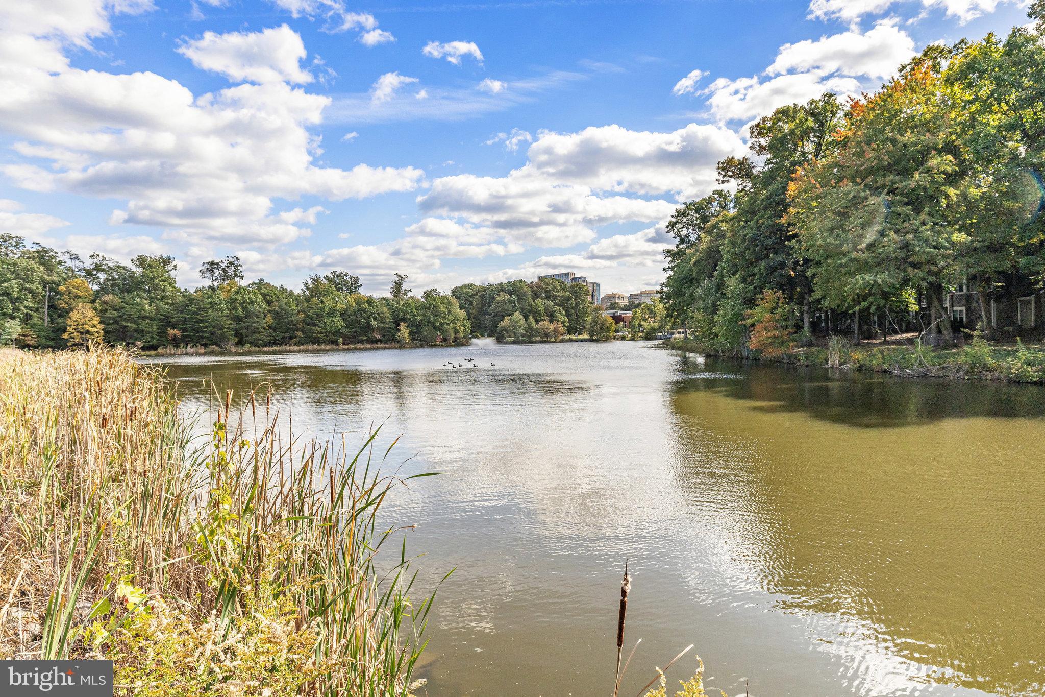 EDGEWATER AT TOWN CENTER - Residential Lease