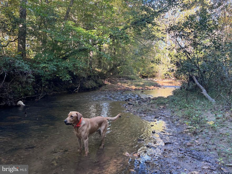 5.9 acres with state road frontage on Early Farm road just outside of Lynchburg. Property has a road going through it with some nice white oaks and other hardwoods. Would make for a great place to build a cabin or home. No perc On file but one was done and approved in 1999