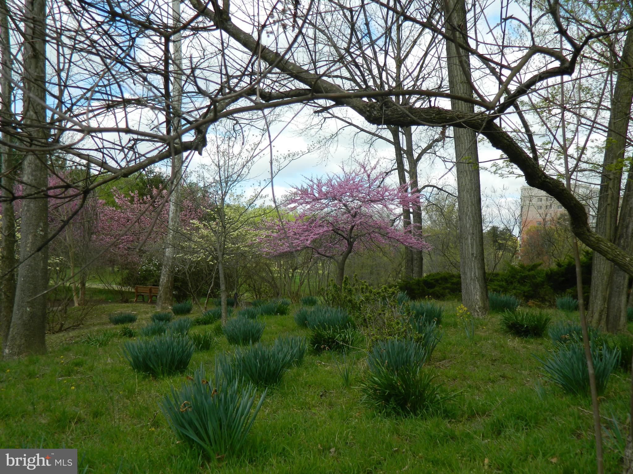 LEISURE WORLD - Residential