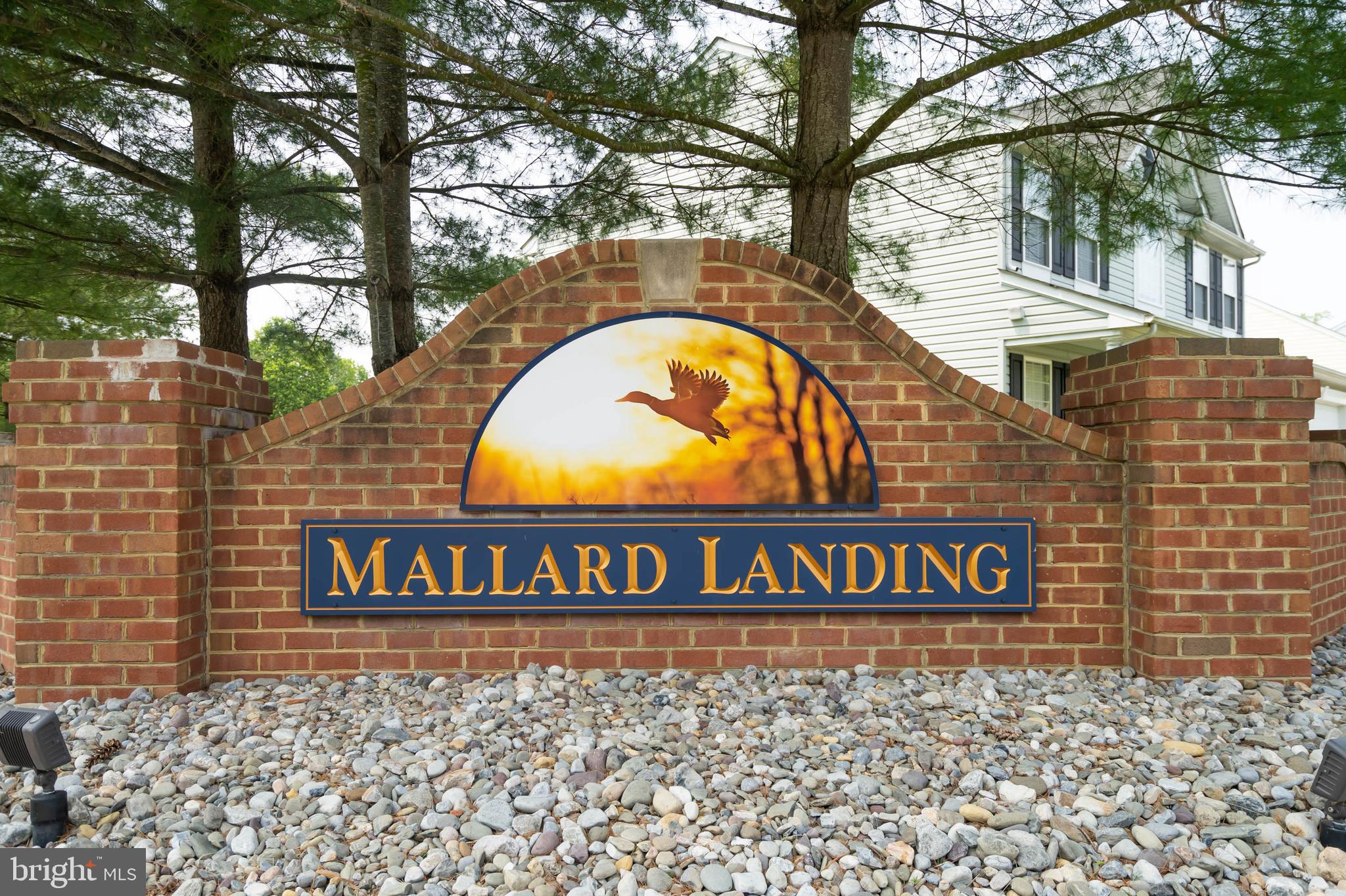 MALLARD LANDING - Residential