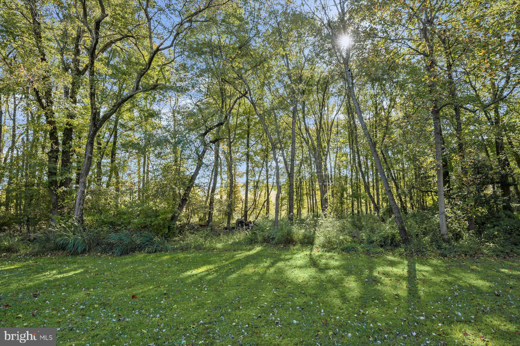 MOORESFIELD - Residential