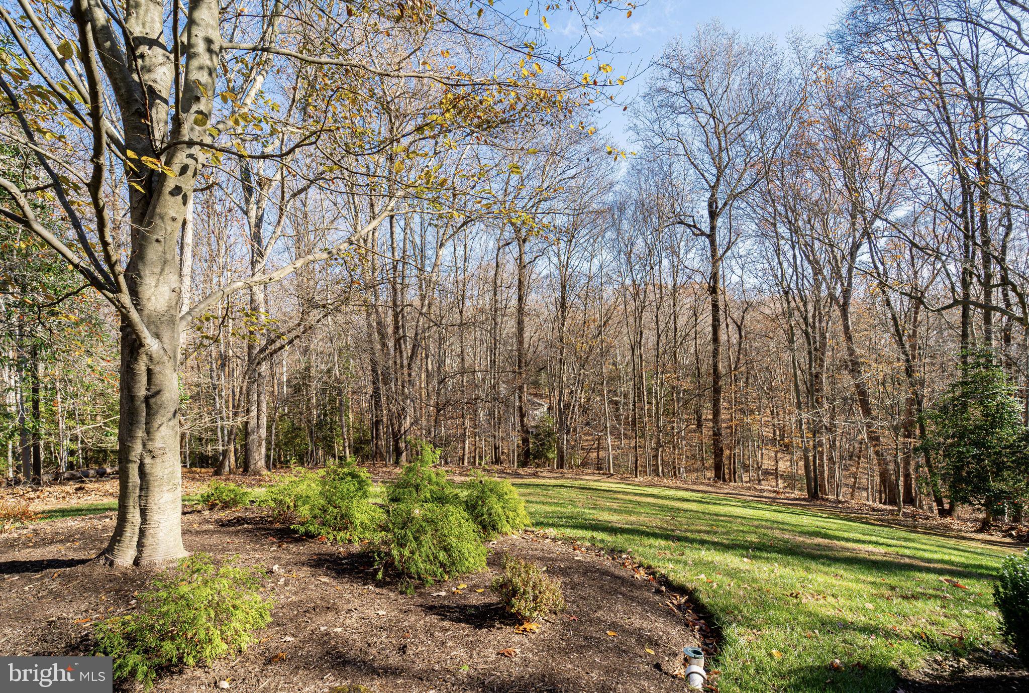 MAZZA WOODS - Residential