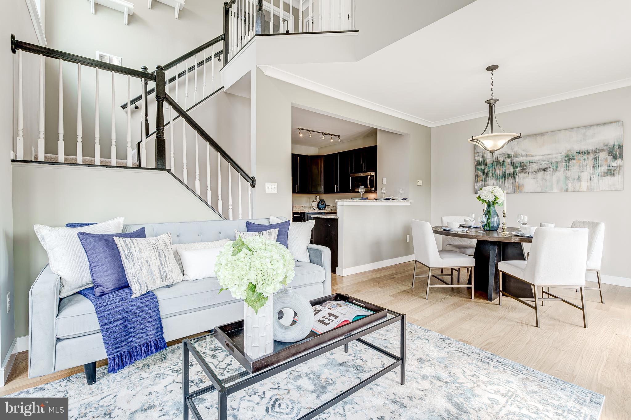 ASHBURN VILLAGE - Residential