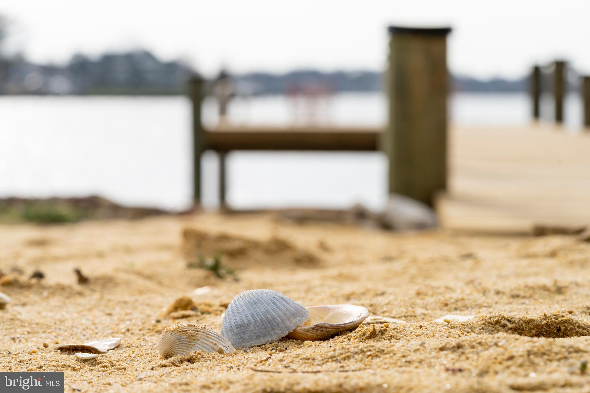 LODGE FOREST - Residential Lease