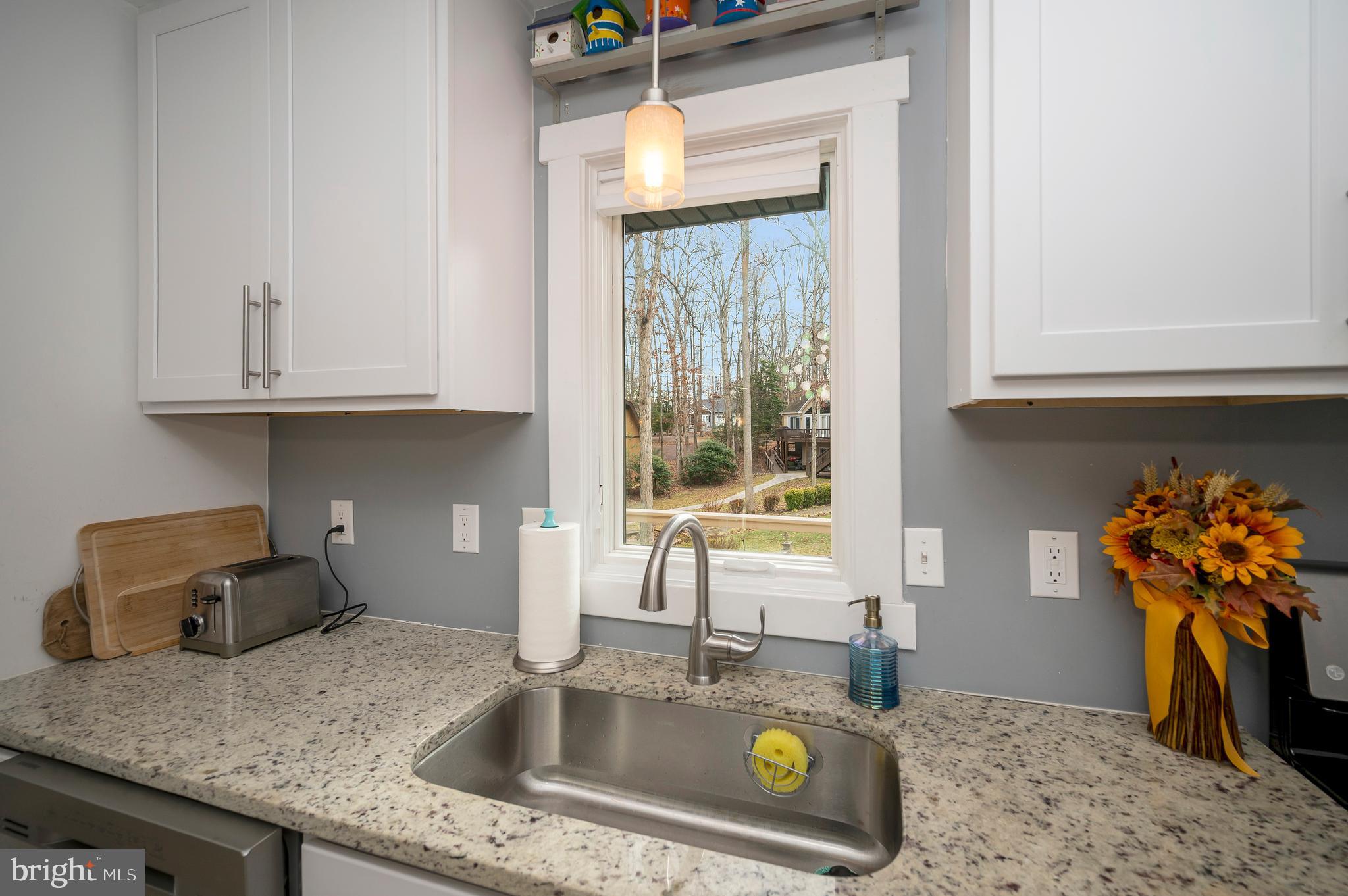 LAKE OF THE WOODS - Residential