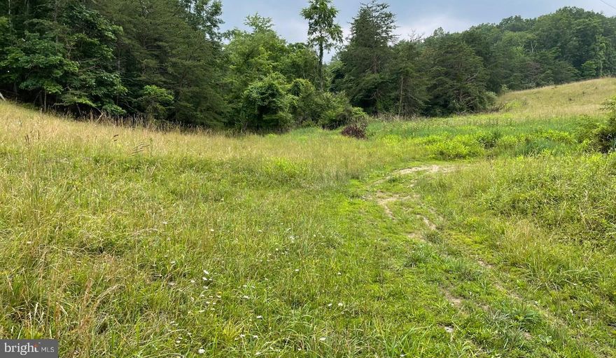 Very nice 56 acre lot in a great location with 2 access points.  Lot features many trails, a nice stream, and many places which could be built on.  No restrictions on the land.  Agricultural use is a great possibility. Many uses possible and only 5 minutes to Berkeley Springs or so. Electric is nearby as well as other utilities such as phone.  A beautiful and convenient setting. Call for your own tour!