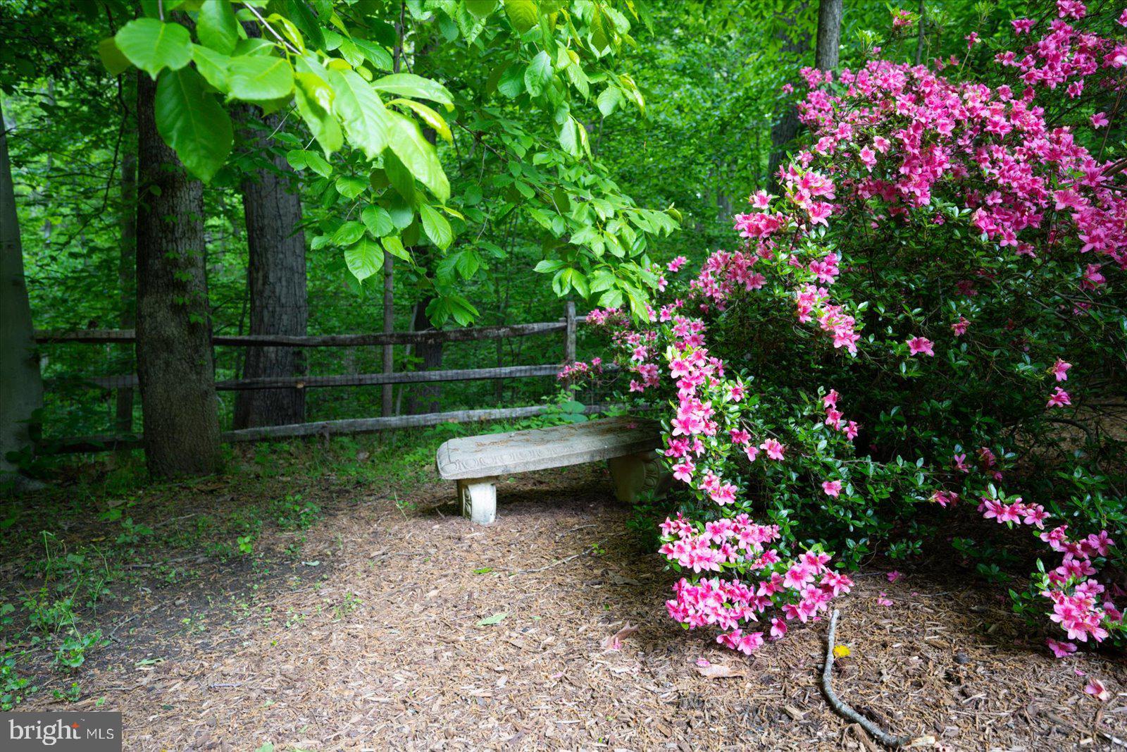 BELVOIR FARMS - Residential