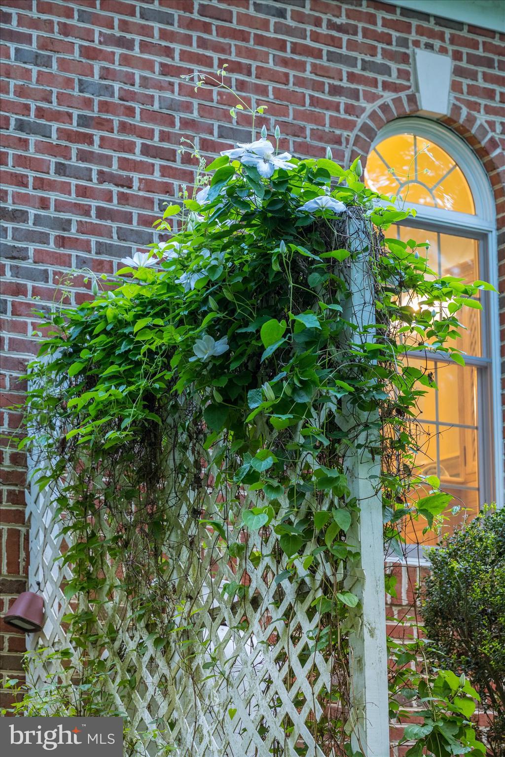 BELVOIR FARMS - Residential