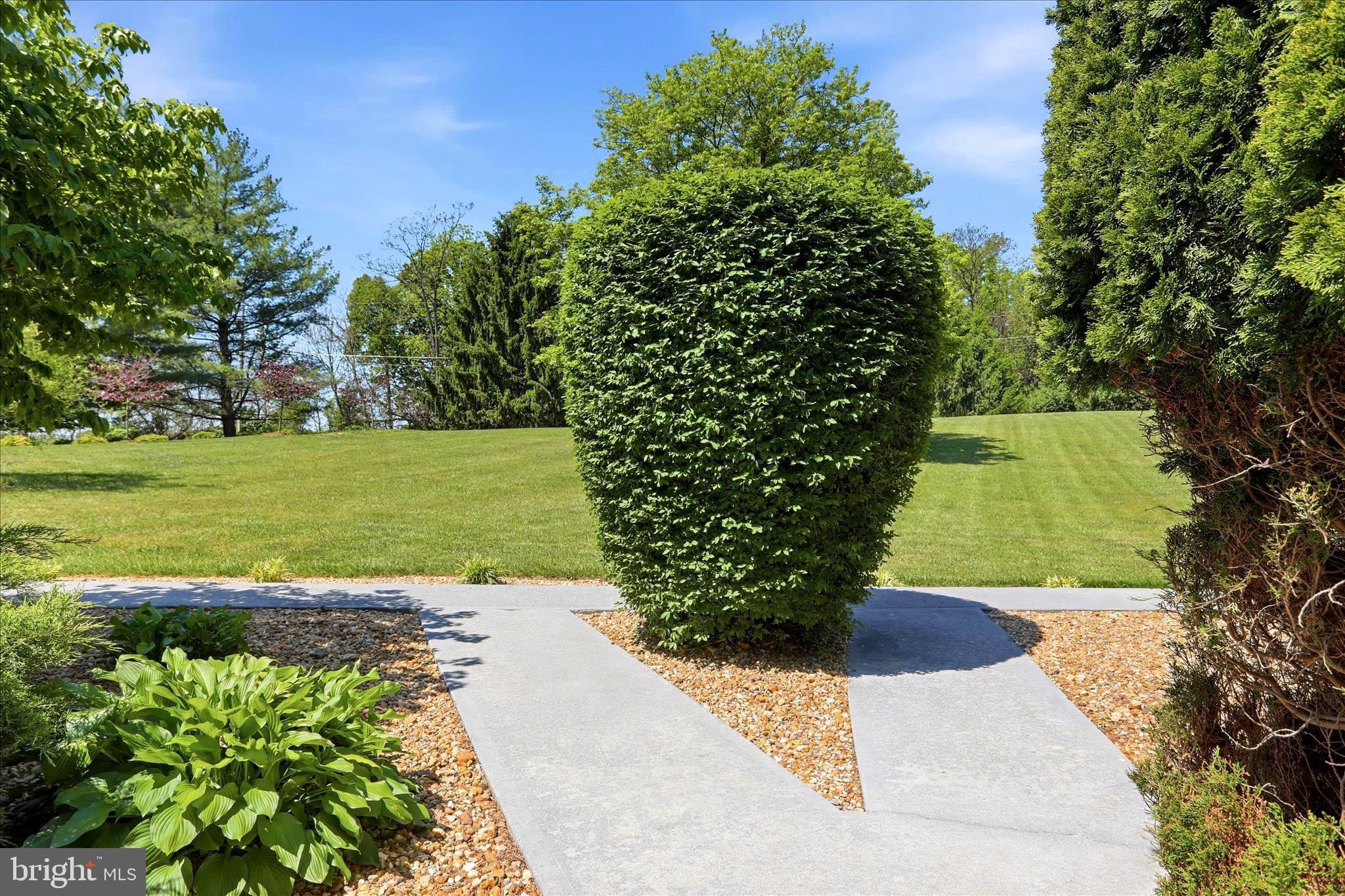 CEDAR LAWN - Farm