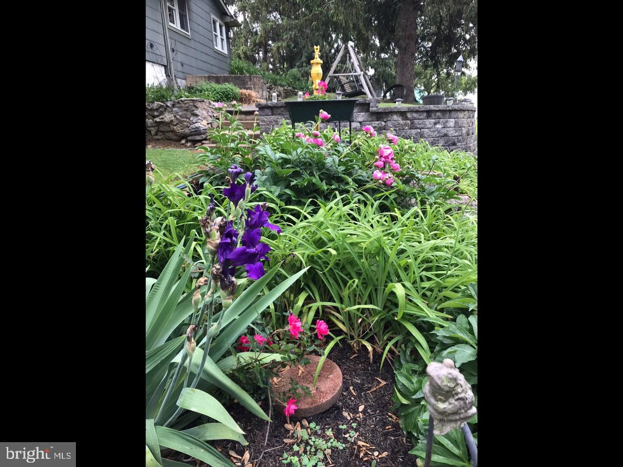 PARADISE TWP - Residential