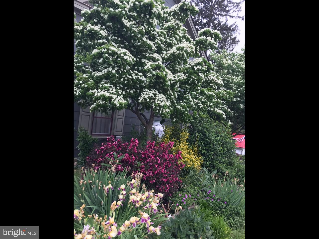 PARADISE TWP - Residential