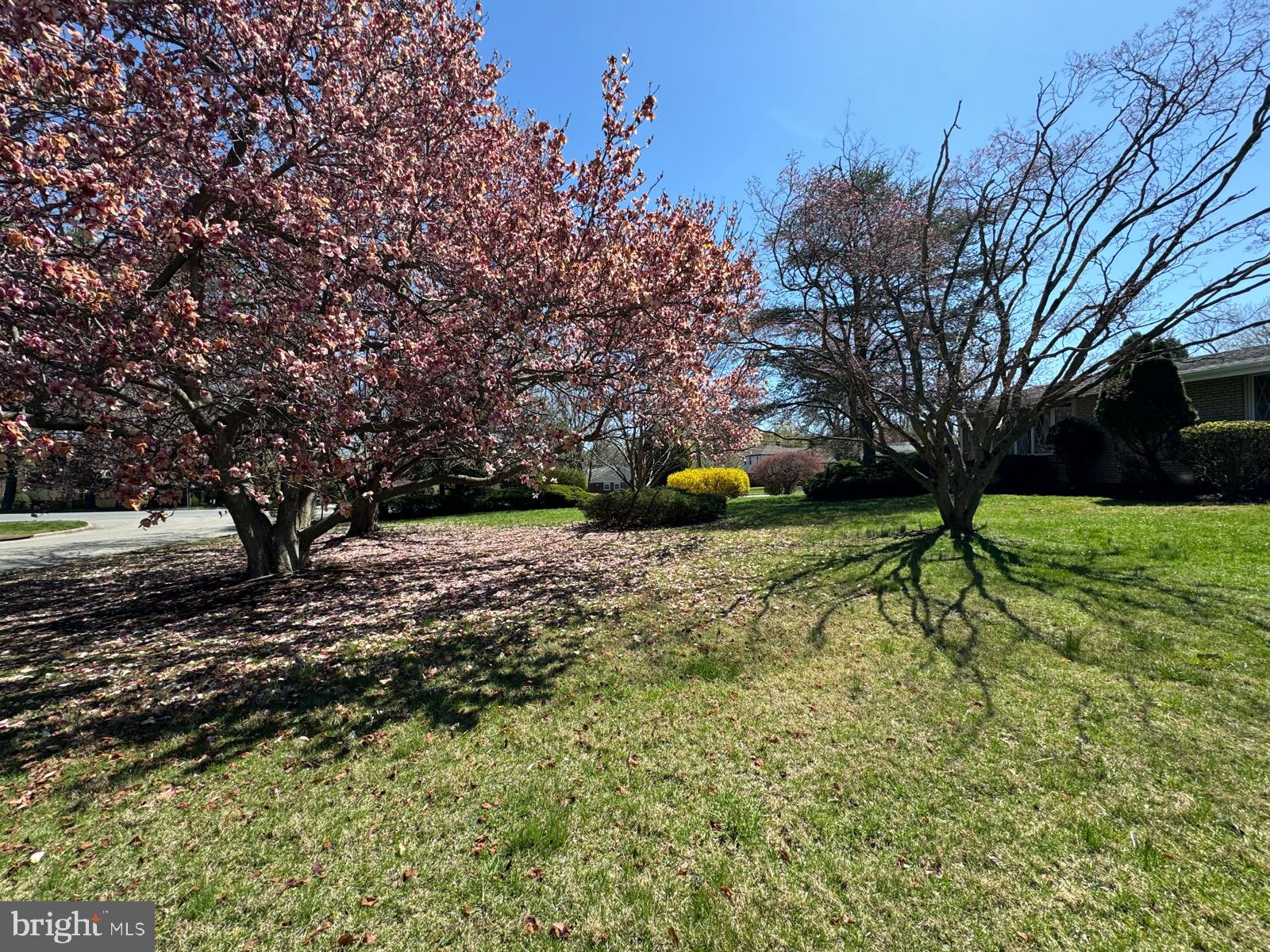 LAVEROCK - Residential