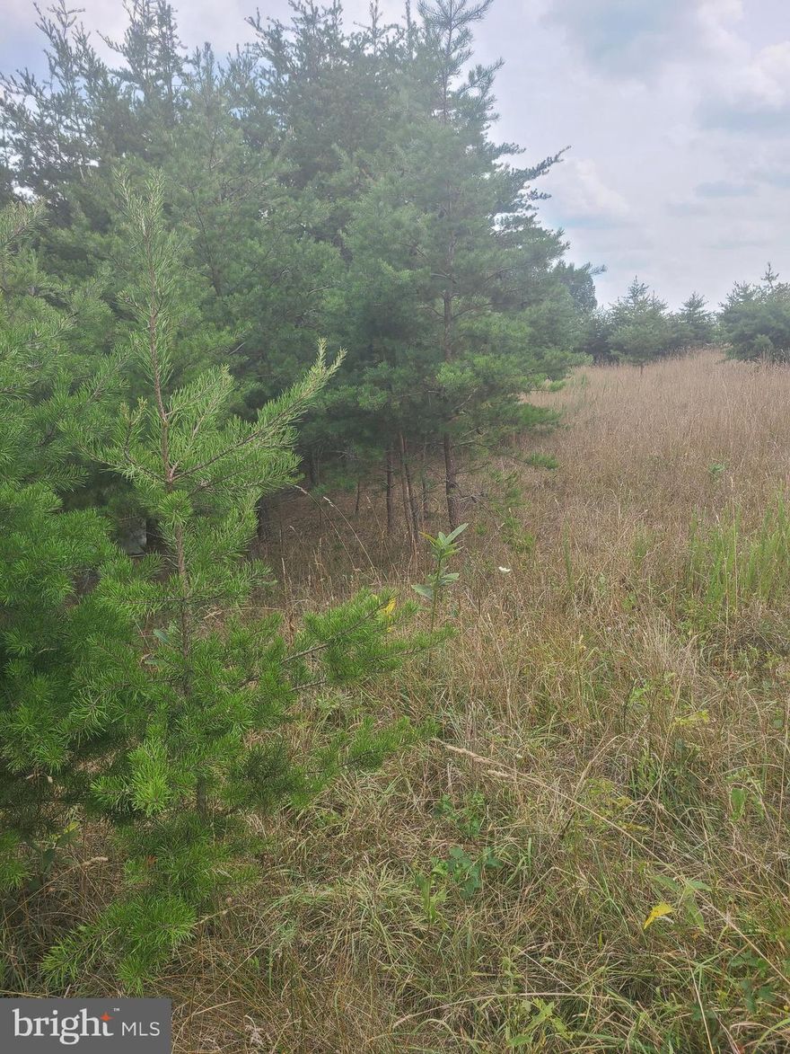 2.09 acres with building site mostly open and treeline in  the back.  Septic permit  issued in 2014 for this lot and a perc approval letter in 2018.  Covenants and restrictions but sellers have not been charged an HOA fee yet .  Buy now and build later.  You wont regret being a part of this quiet countryside subdivsion.