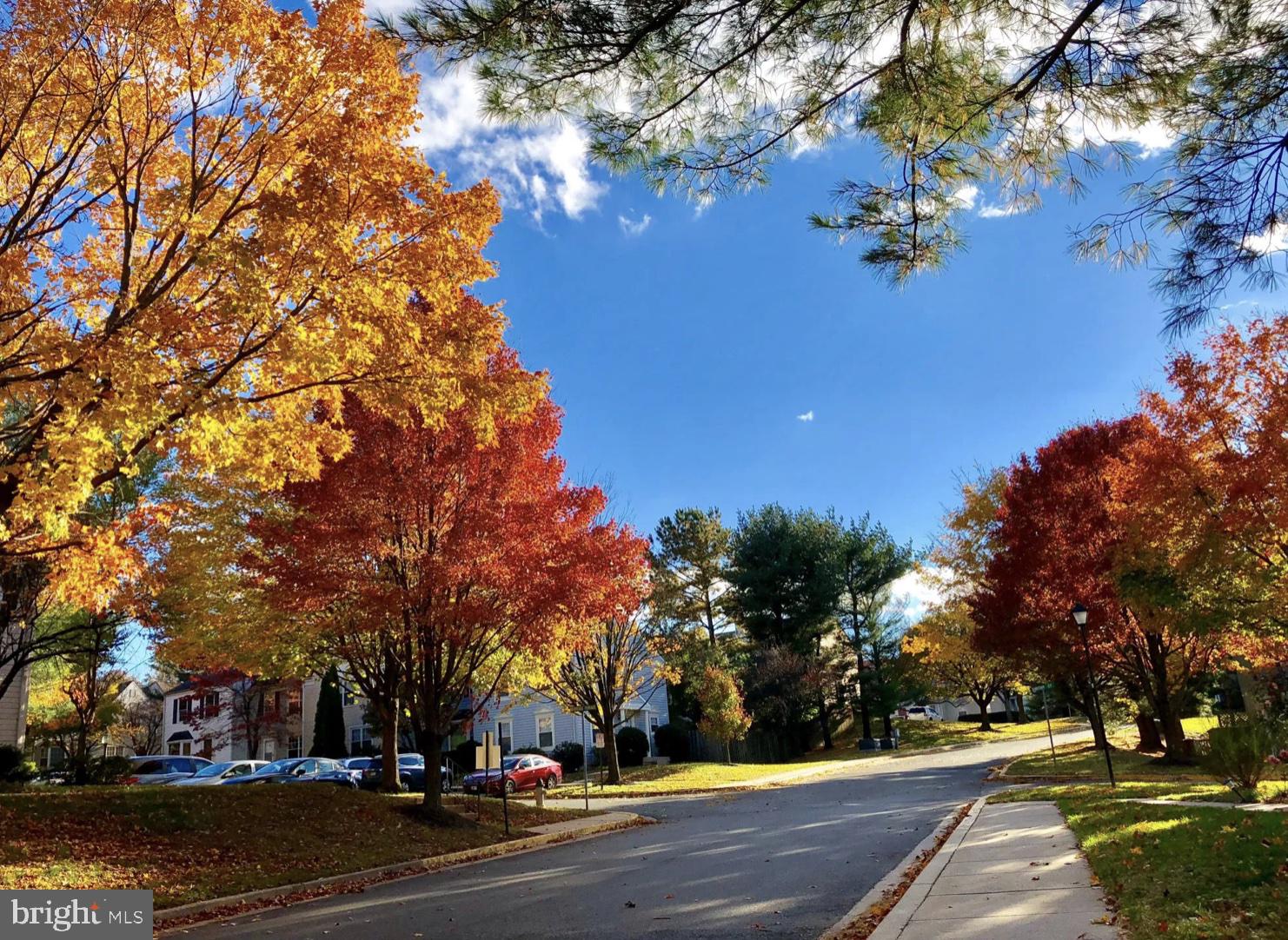 STONEBRIDGE - Residential Lease