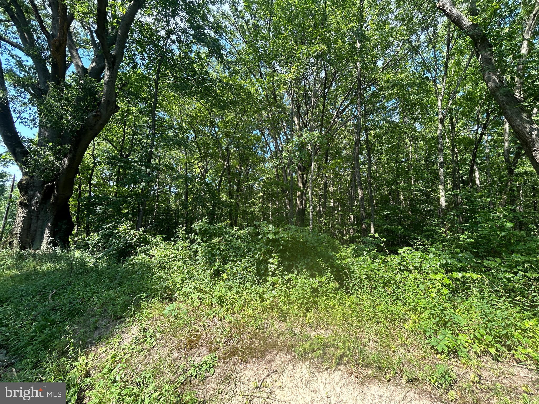 CHESTERVILLE FOREST ROAD PARCEL 73