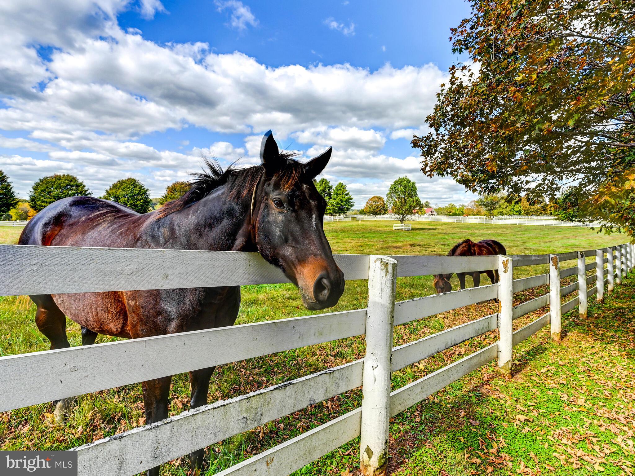 WORTHINGTON VALLEY - Residential