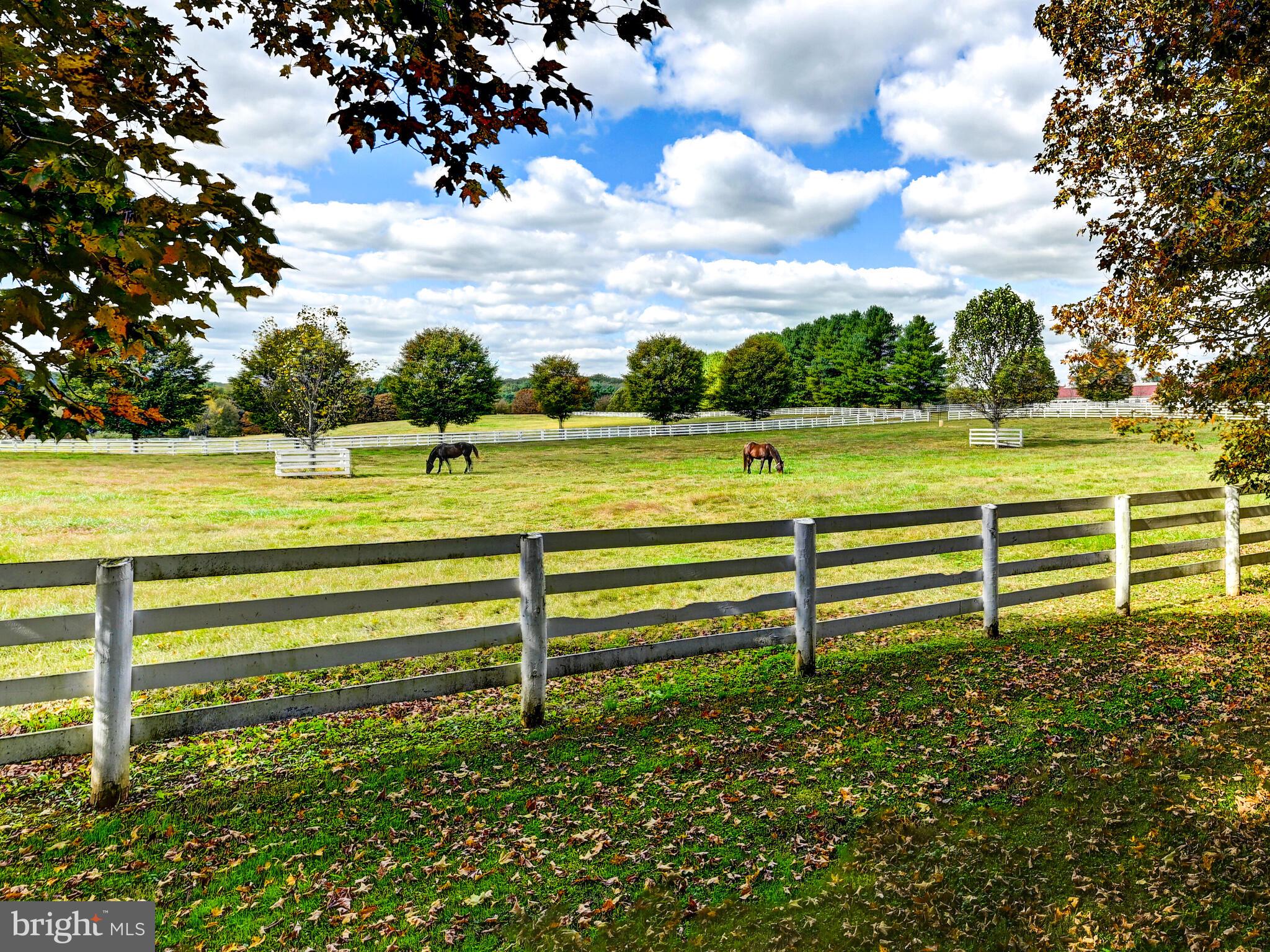 WORTHINGTON VALLEY - Residential