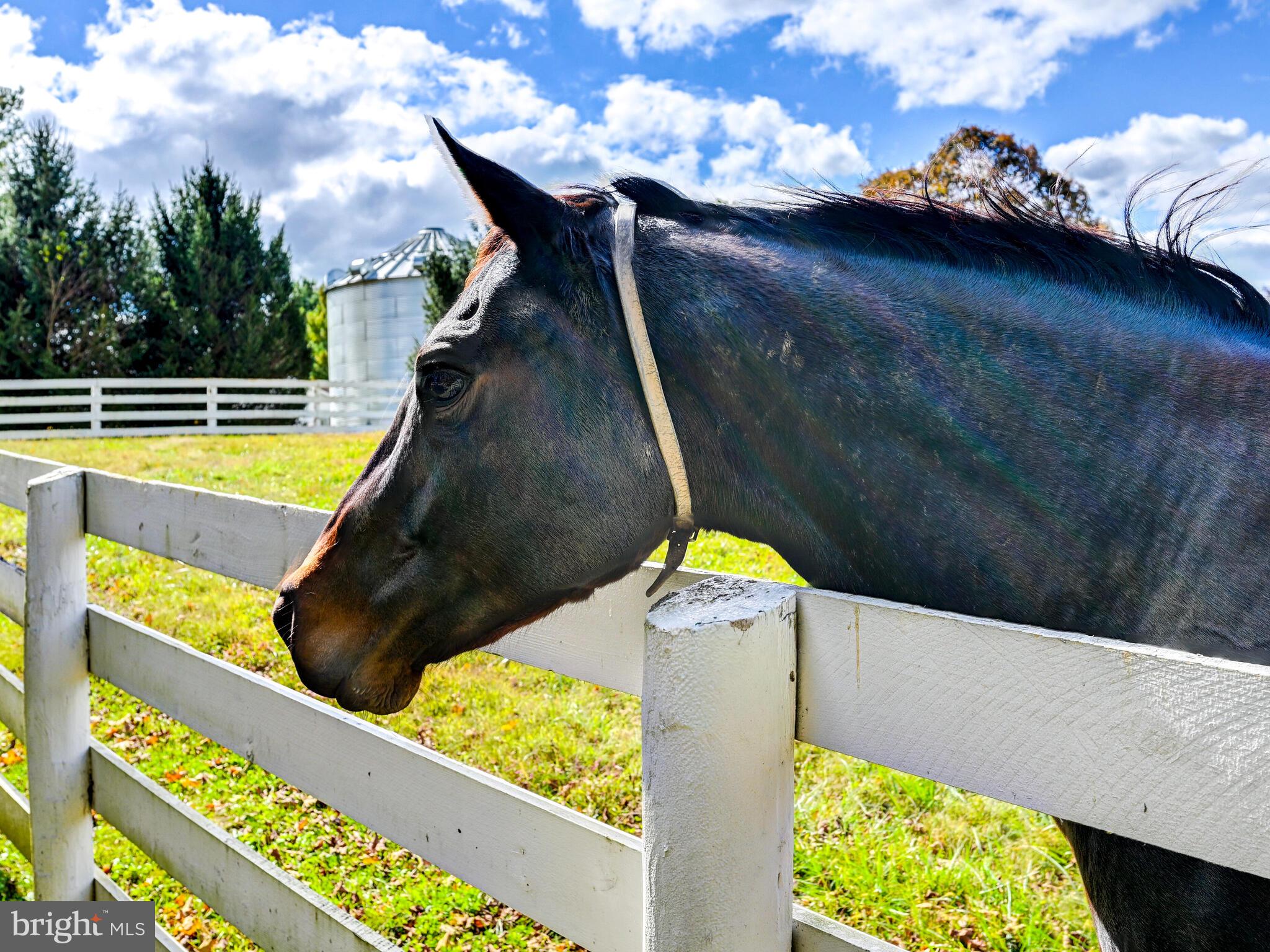 WORTHINGTON VALLEY - Residential