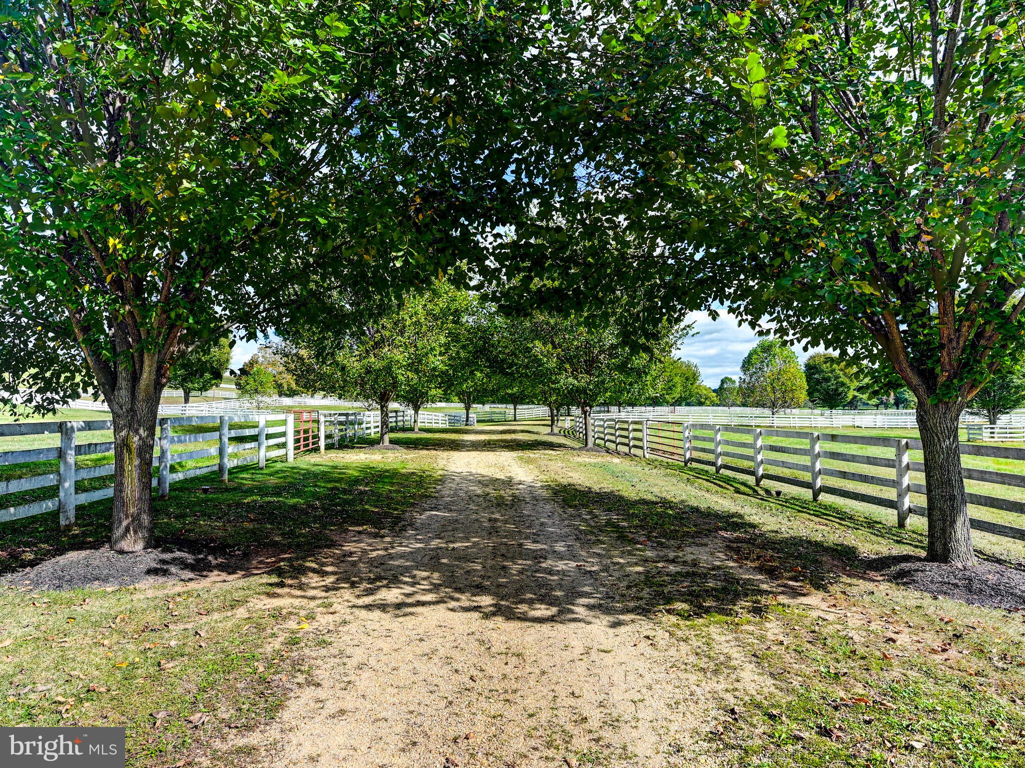 WORTHINGTON VALLEY - Residential