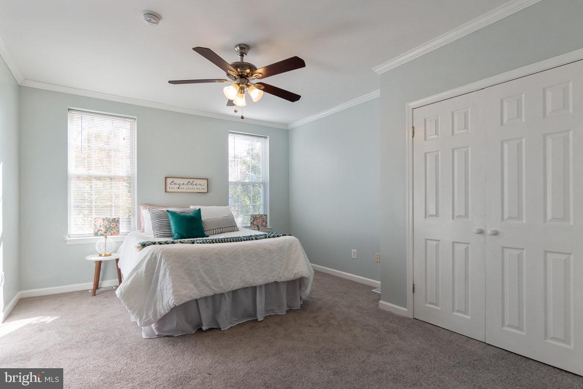 PATTERSON PARK - Residential