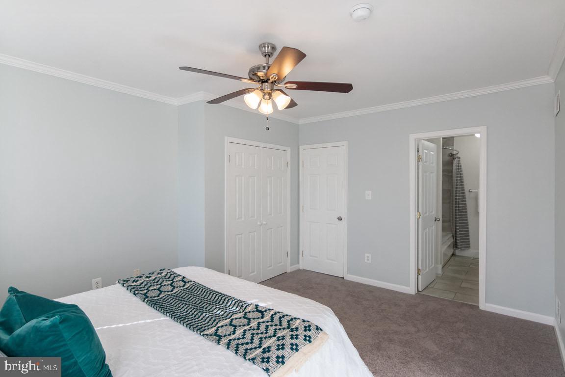 PATTERSON PARK - Residential