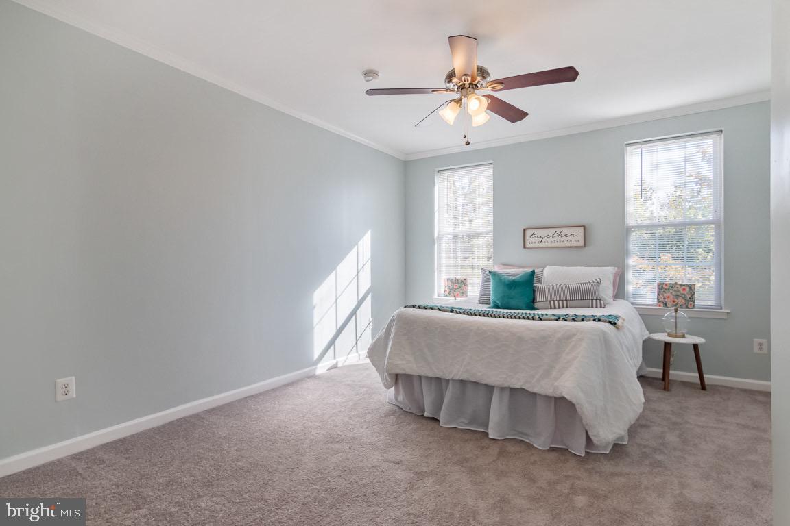 PATTERSON PARK - Residential