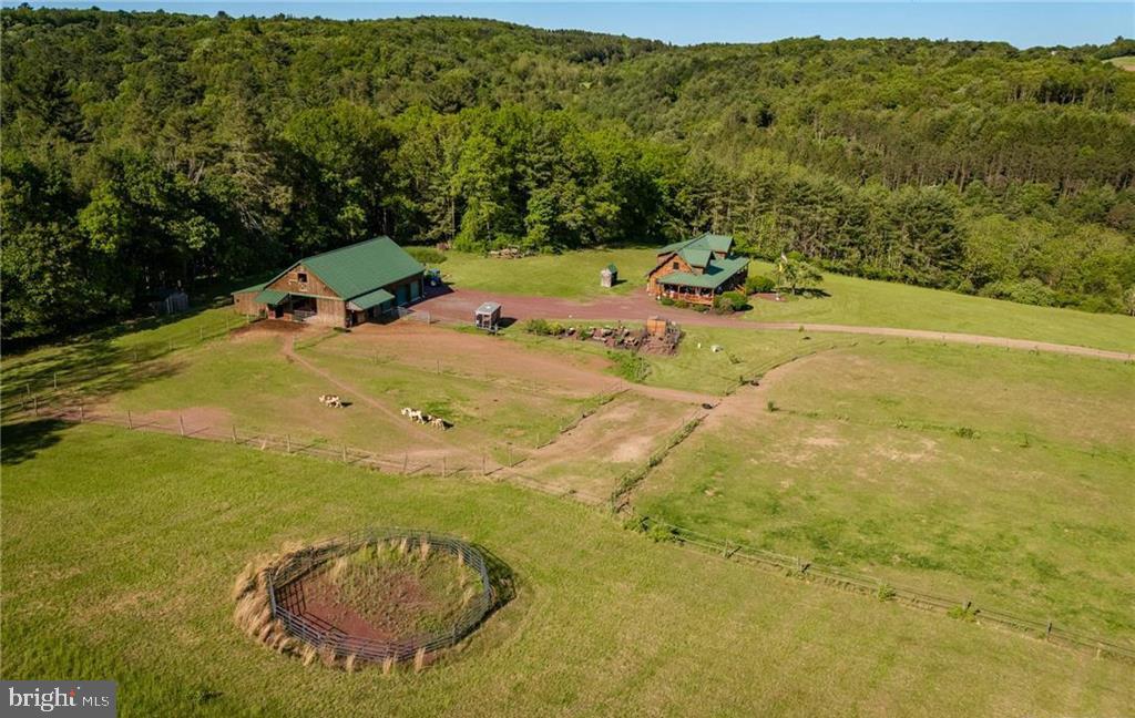 1650 SPRUCE HOLLOW ROAD