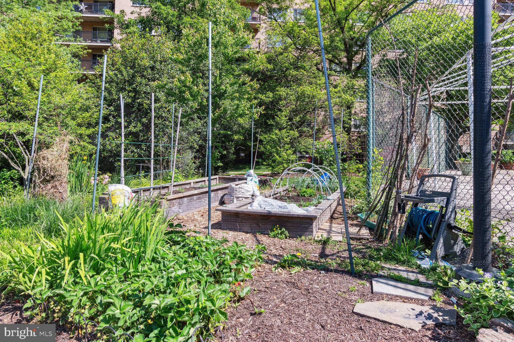 1900 LYTTONSVILLE ROAD 702