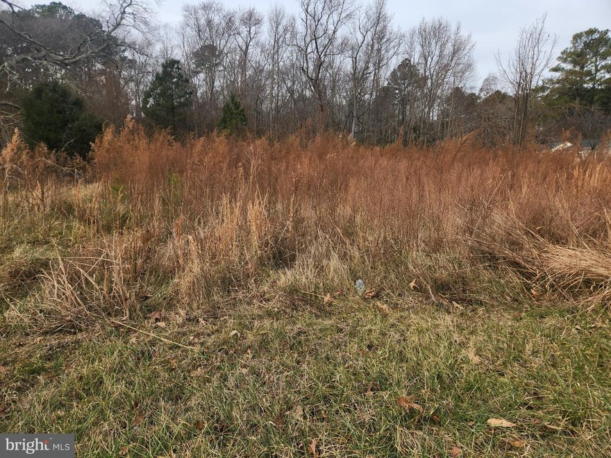 Discover the possibilities on this 5.75-acre parcel of land featuring a small pond and abundant wildlife. This property offers excellent hunting potential and a quiet country atmosphere—ideal for outdoor enthusiasts, recreational use, or a future homesite. The land includes a former modular home site that was destroyed by fire, as well as an older shed. The true value lies in the land itself, its natural features, and the opportunity to start fresh.

Whether you’re looking for a private retreat, a hunting getaway, or a place to build your dream home from the ground up, this property provides space, privacy, and potential. 

Highlights:
5.75 acres of land
Small pond on the property
Hunting permitted
Abundant wildlife
Older shed (no value)
Sold for land value only
Estate Sale
Property being sold As-Is

Bring your plans and imagination—opportunities like this don’t come around often!