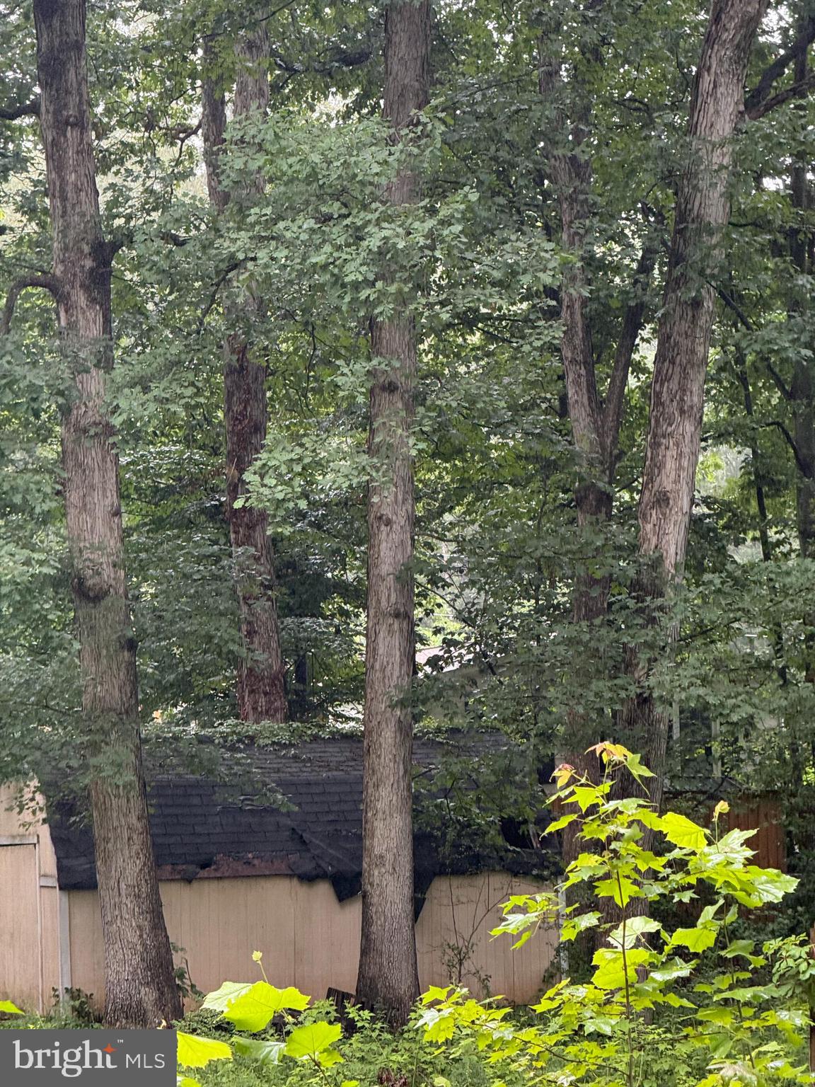 42 RIDGE ROAD