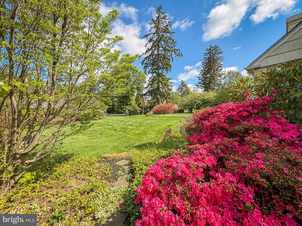 WYNNEWOOD - Residential