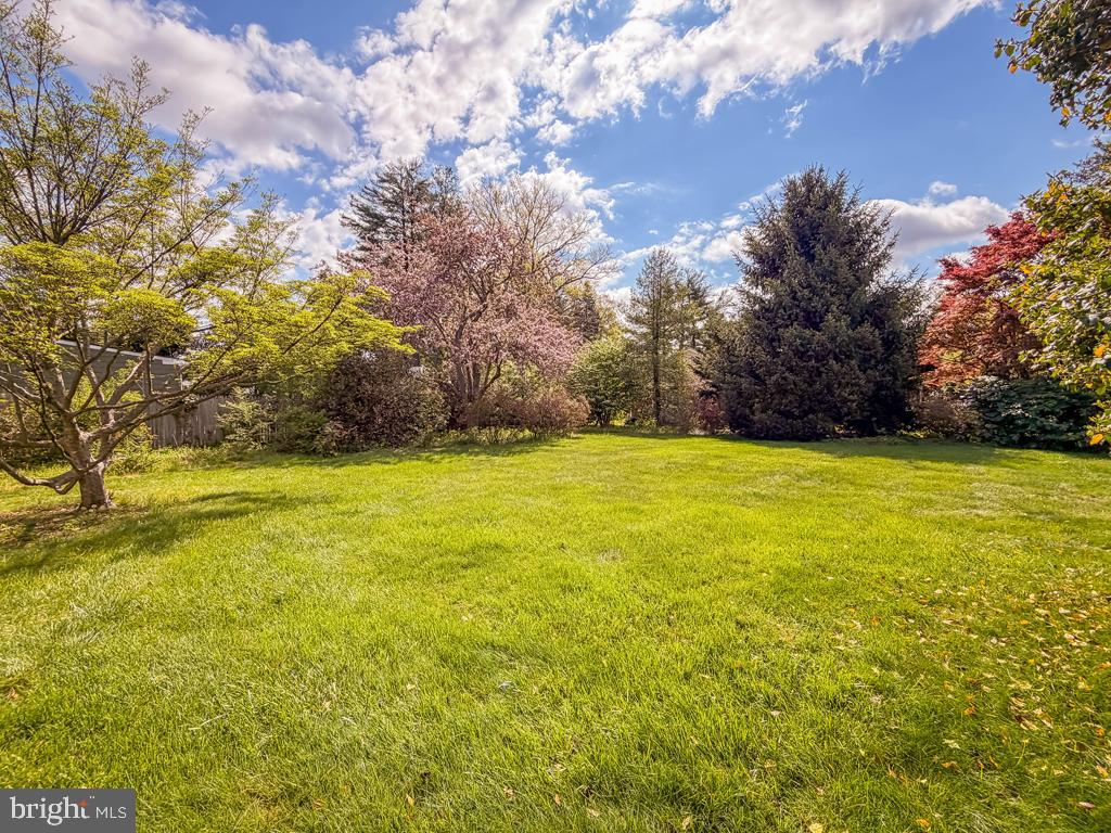 WYNNEWOOD - Residential