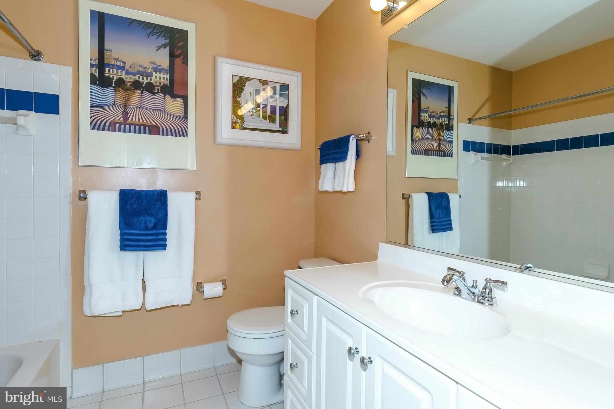 VILLAGE OF RIVER HILL - Residential